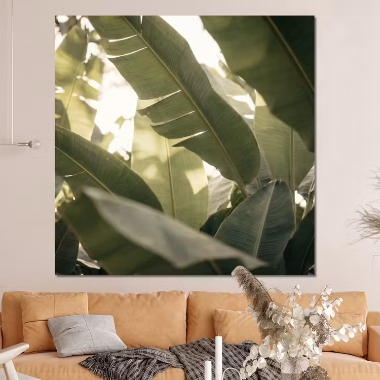Forex - Natuur - Bladeren - Groen - Tropisch - Detail — 4