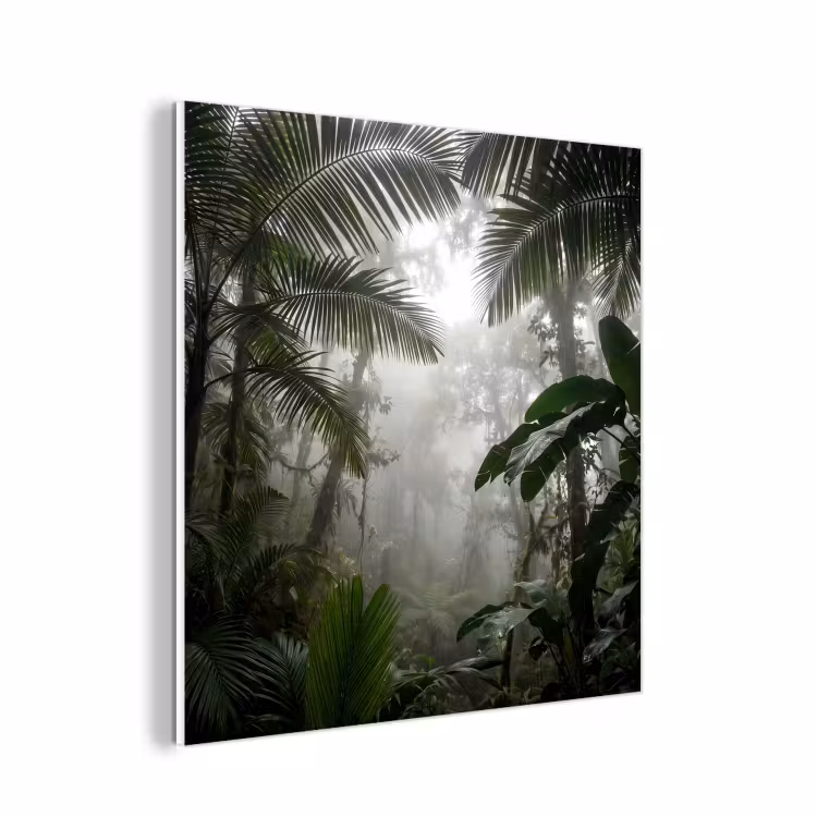Forex - Natuur - Jungle - Mist - Groen - Bladeren — 1