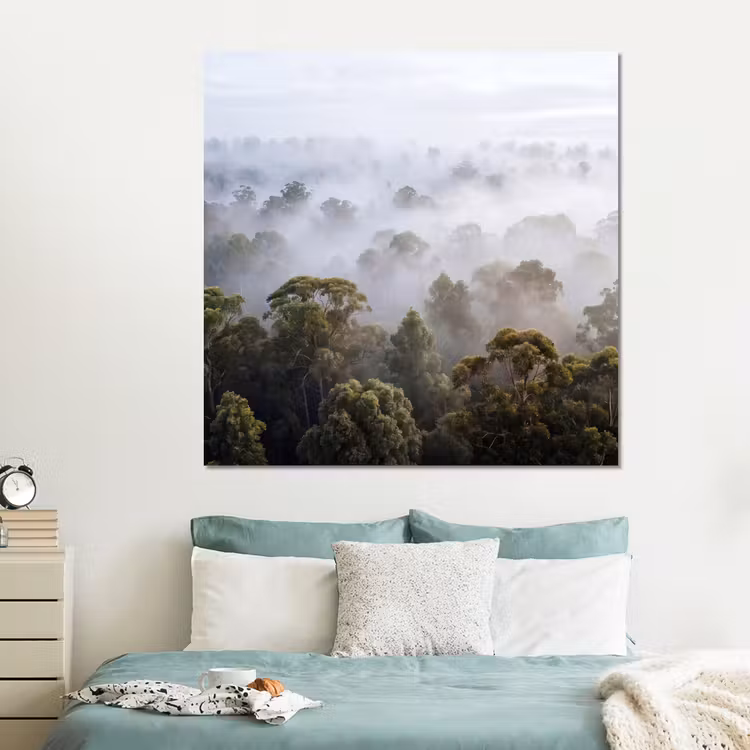 Forex - Natuur - Mist - Bos - Ochtend - Goud — 2