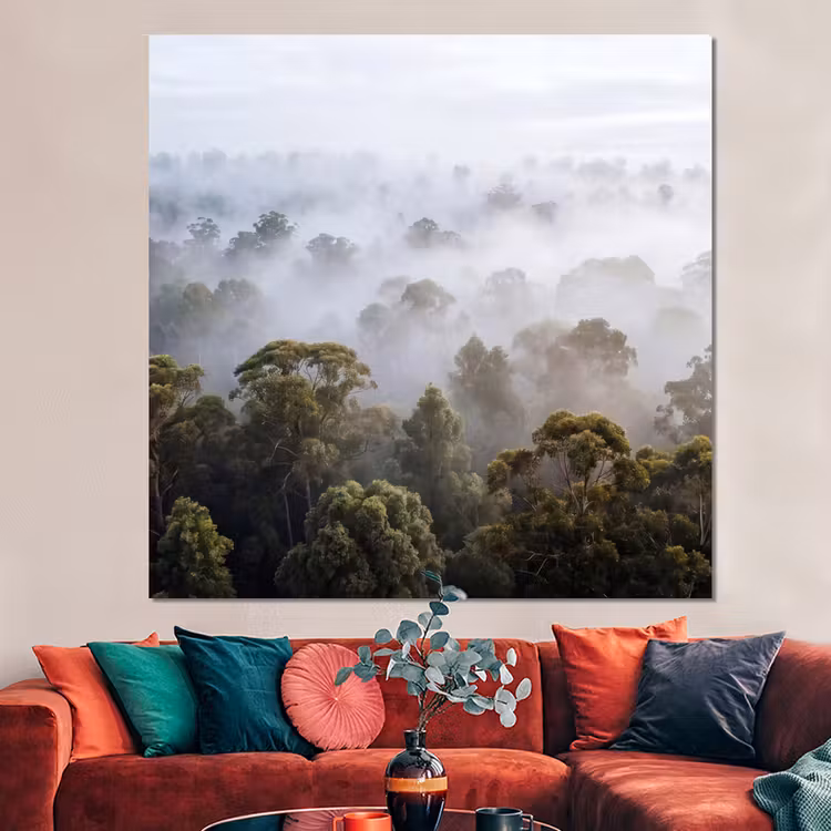 Forex - Natuur - Mist - Bos - Ochtend - Goud — 3
