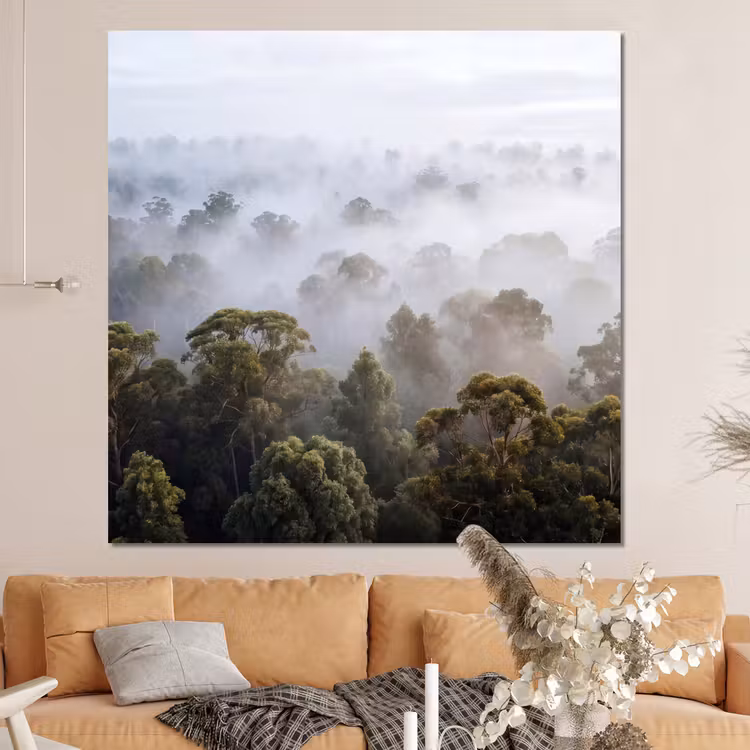 Forex - Natuur - Mist - Bos - Ochtend - Goud — 4