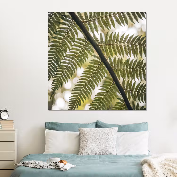 Forex - Plant - Blad - Natuur - Groen - Detail — 2