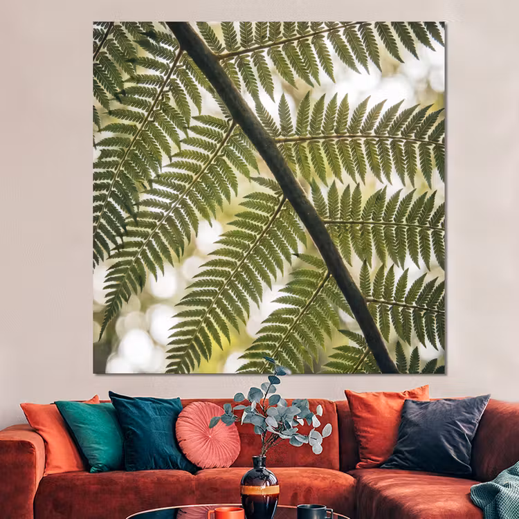 Forex - Plant - Blad - Natuur - Groen - Detail — 3