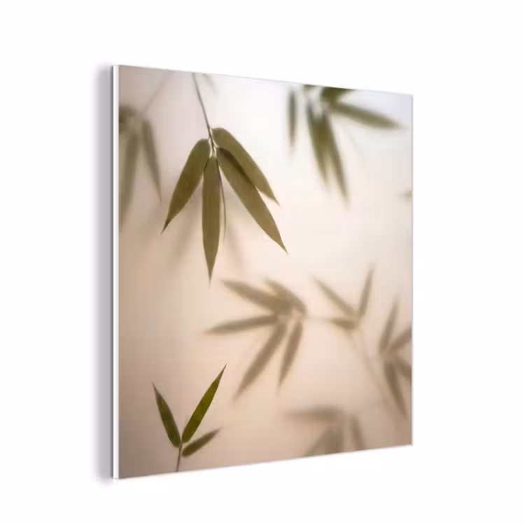 Forex - Planten - Bladeren - Natuur - Groen — 1