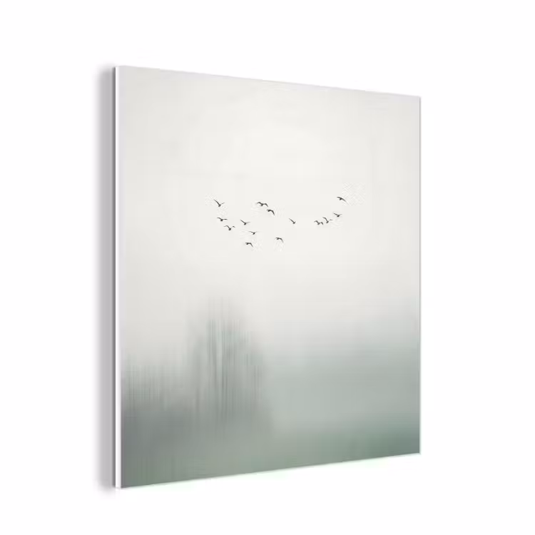 Forex - Vogel - Vlucht - Natuur - Minimalistisch — 1