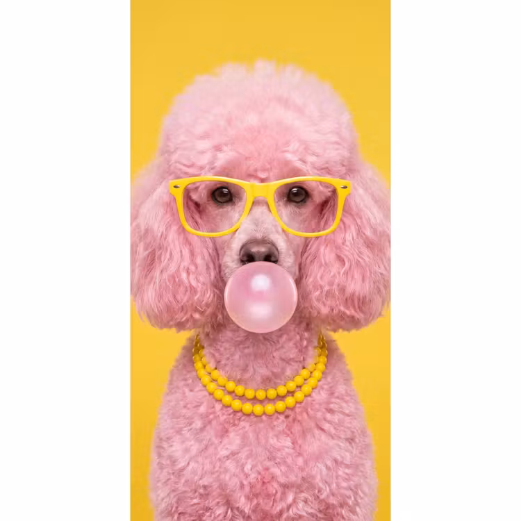 Behang - Hond - Kauwgum - Dieren - Modern - Roze — 2