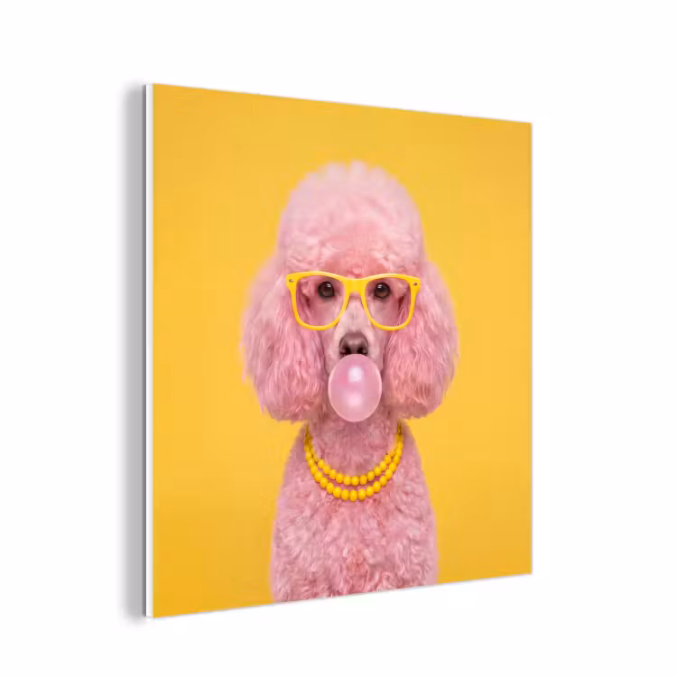 Forex - Hond - Kauwgum - Dieren - Modern - Roze — 1