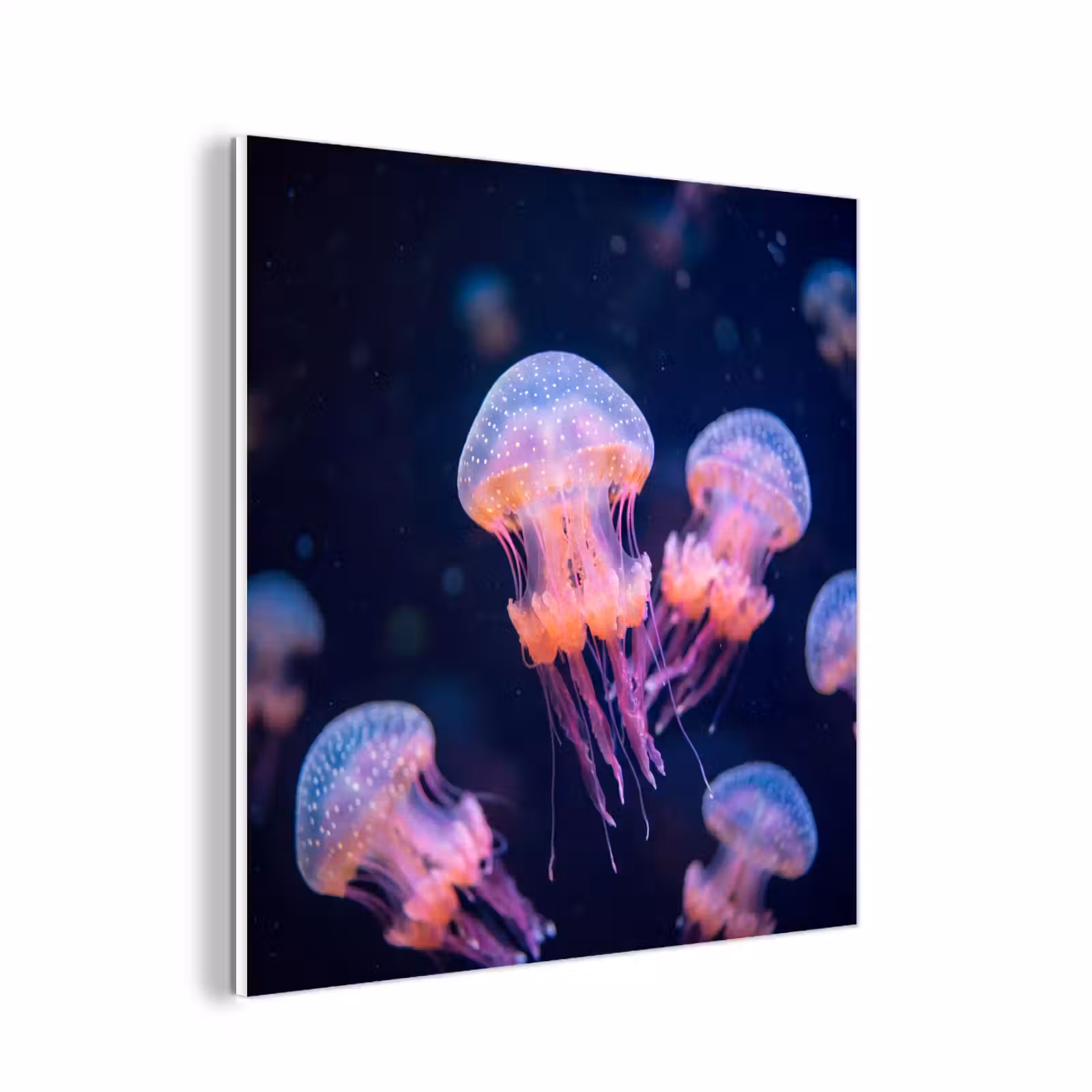 Forex - Dier - Onderwater - Natuur - Roze - Mysterieus — 1