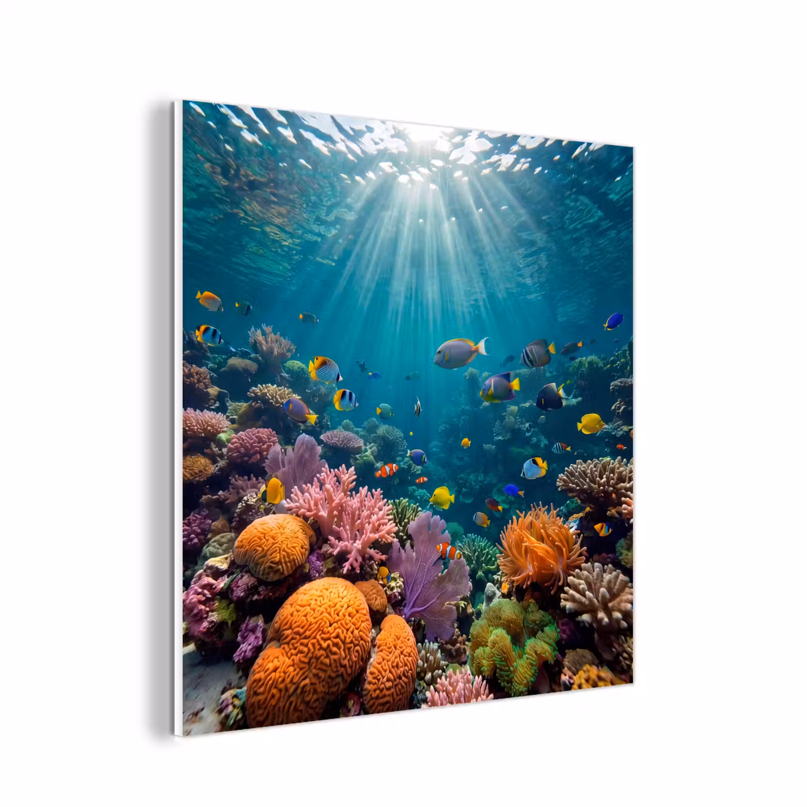 Forex - Vis - Koraal - Oceaan - Natuur - Kleurrijk — 1