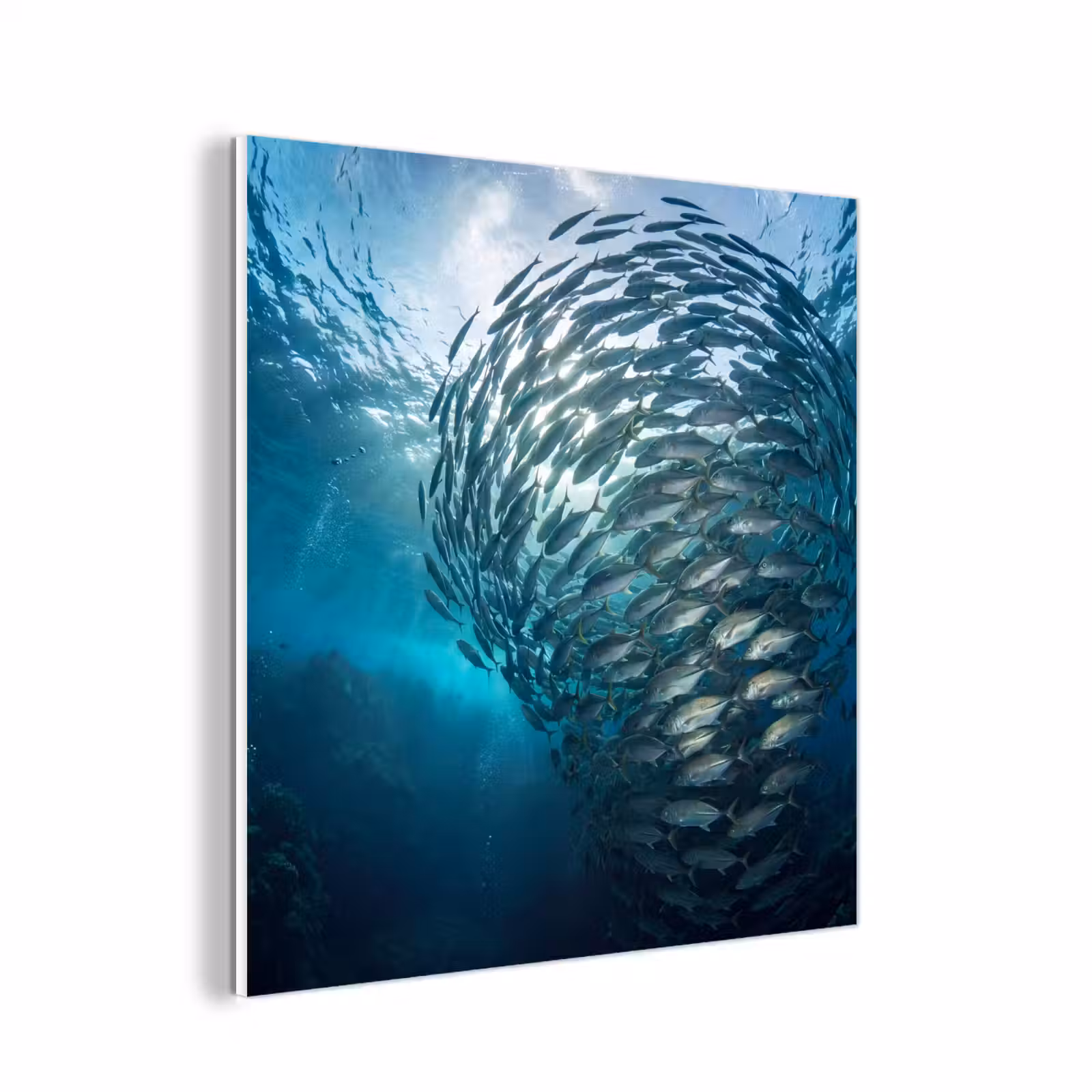 Forex - Vis - School - Oceaan - Natuur - Blauw — 1