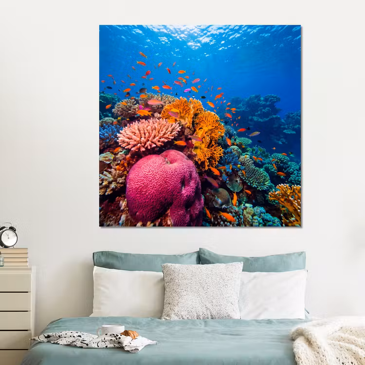 Forex - Koraal - Vissen - Oceaan - Natuur - Kleurrijk — 2