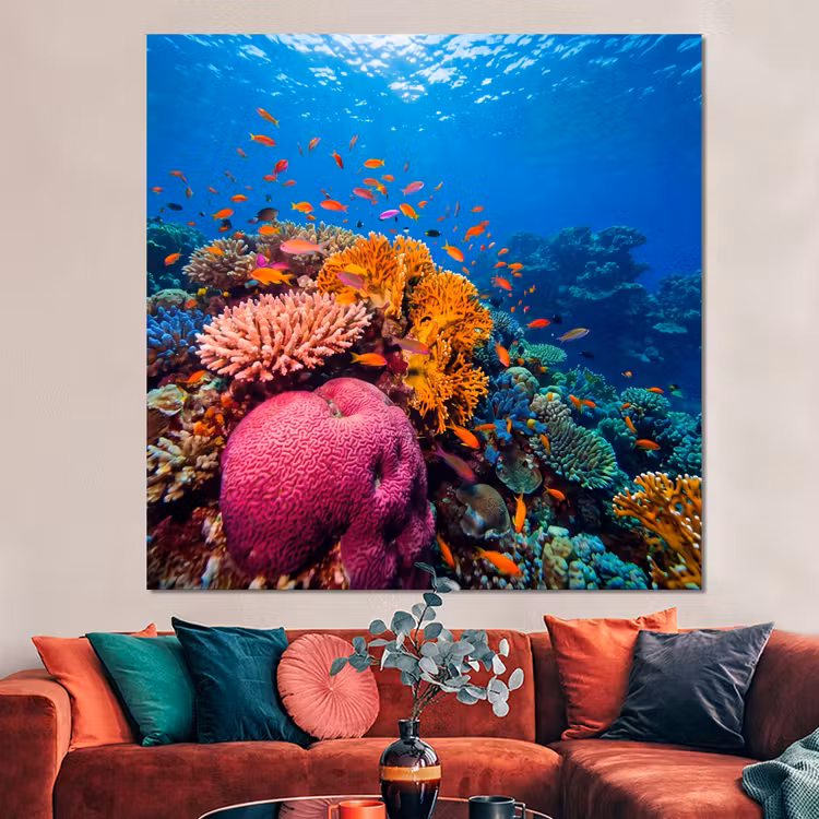 Forex - Koraal - Vissen - Oceaan - Natuur - Kleurrijk — 3