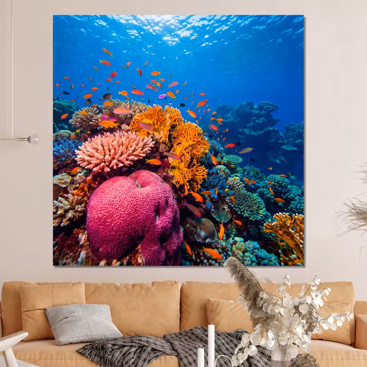 Forex - Koraal - Vissen - Oceaan - Natuur - Kleurrijk — 4