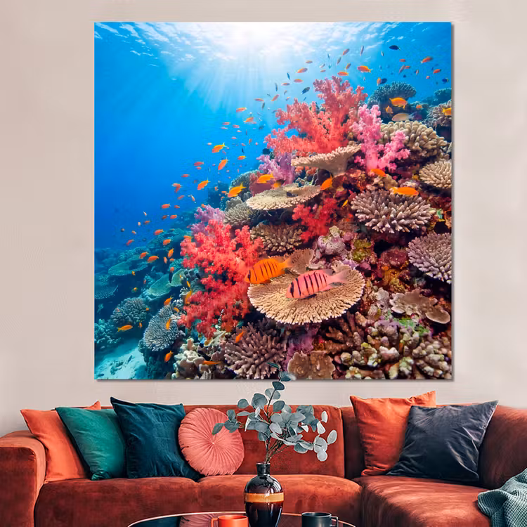Forex - Koraalrif - Vissen - Onderwater - Tropisch - Rood — 3