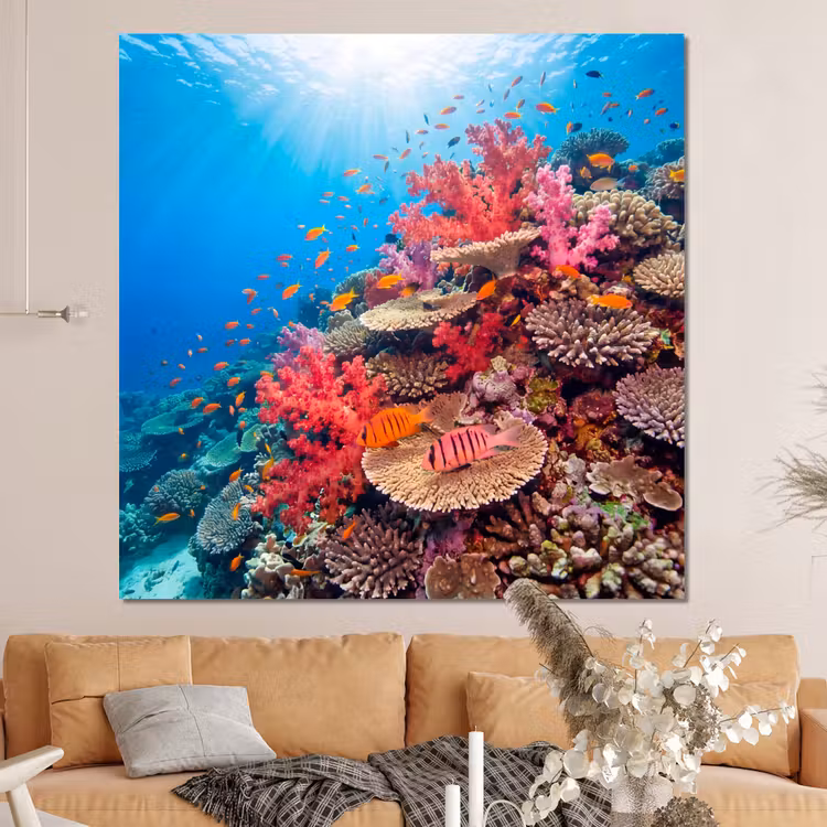 Forex - Koraalrif - Vissen - Onderwater - Tropisch - Rood — 4