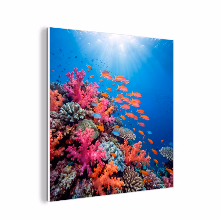 Forex - Onderwater - Koraalrif - Vissen - Oceaan - Natuur — 1