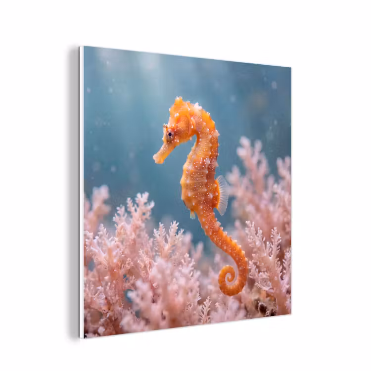 Forex - Vis - Koraal - Oceaan - Macro - Oranje — 1