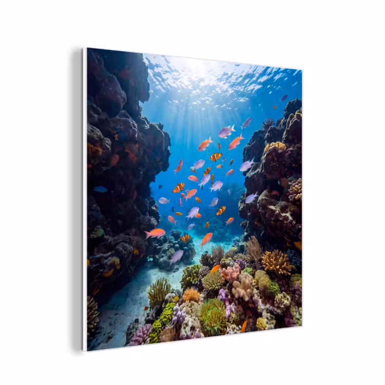 Forex - Vis - Koraalrif - Onderwater - Levendig - Blauw — 1