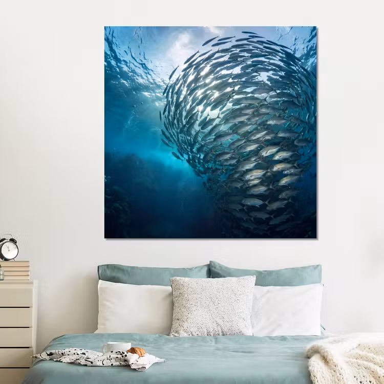 Forex - Vis - School - Oceaan - Natuur - Blauw — 2