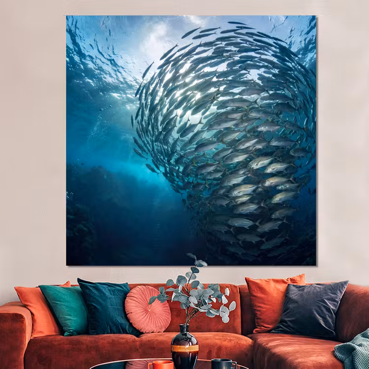 Forex - Vis - School - Oceaan - Natuur - Blauw — 3