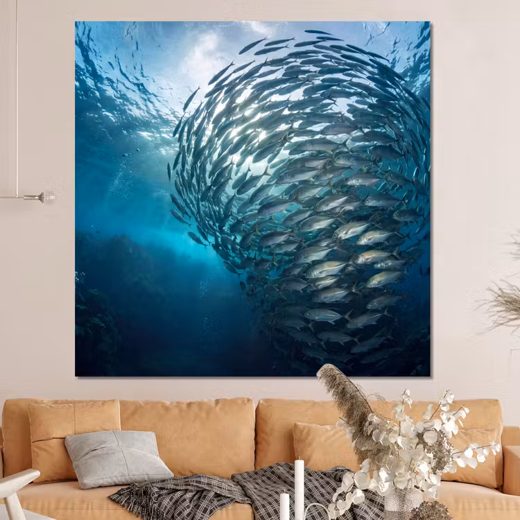 Forex - Vis - School - Oceaan - Natuur - Blauw — 4
