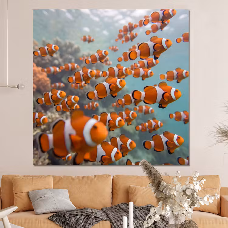 Forex - Vis - School - Onderwater - Dieren - Oranje — 4