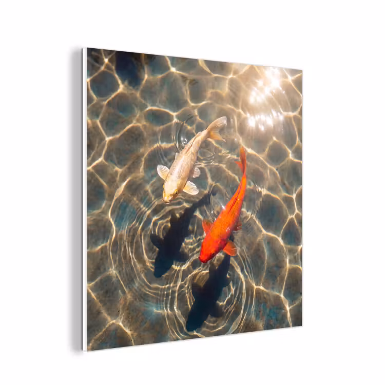 Forex - Vis - Water - Dieren - Oranje - Goud — 1