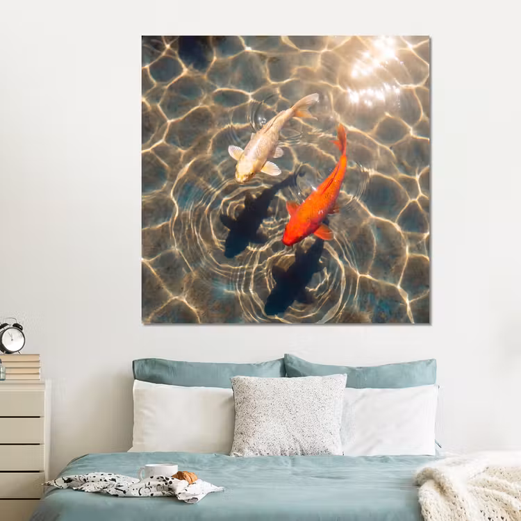 Forex - Vis - Water - Dieren - Oranje - Goud — 2