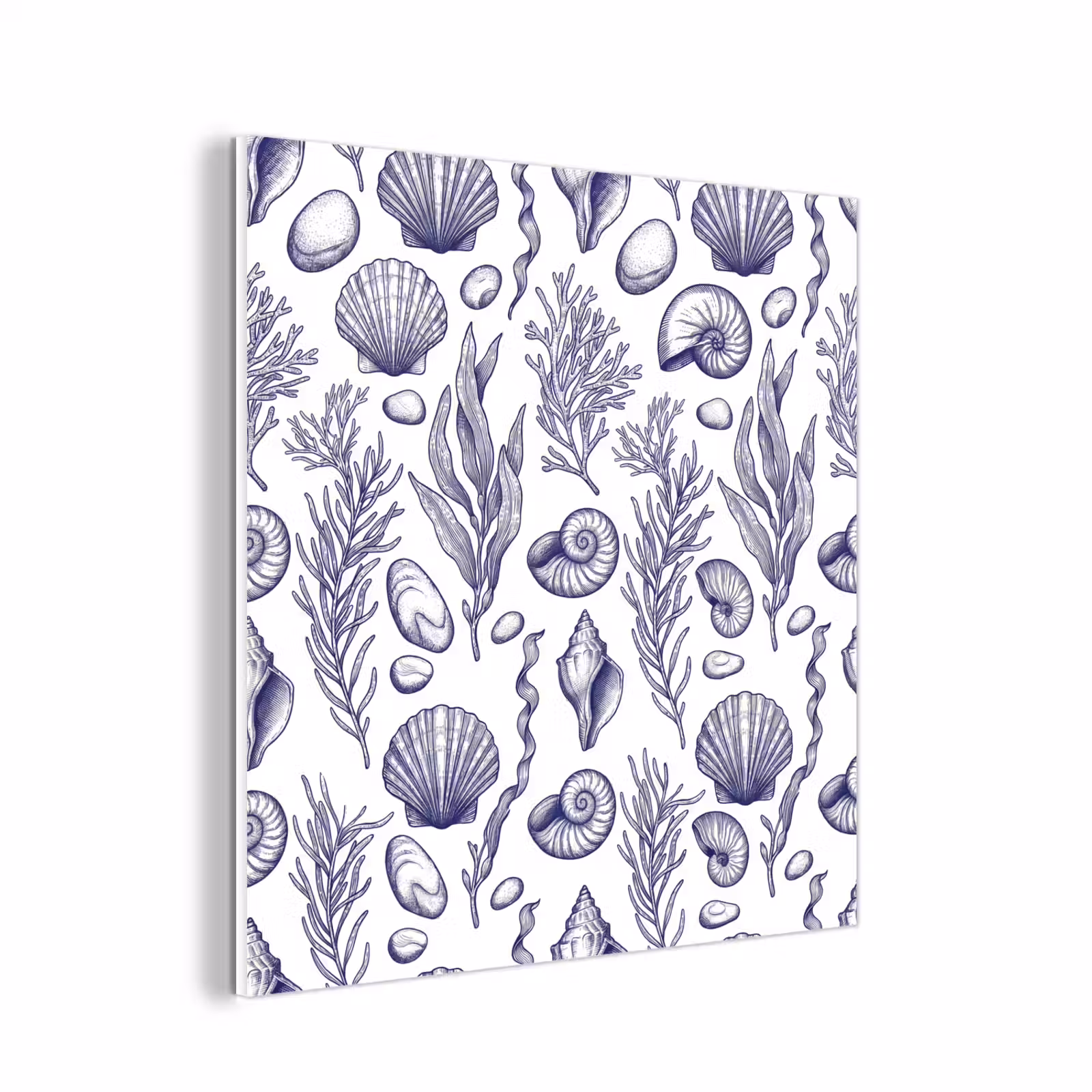 Forex - Schelpen - Zeewier - Oceaan - Illustratie - Blauw — 1