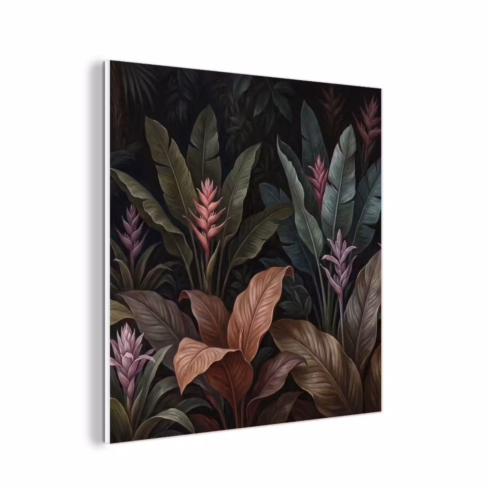 Forex - Planten - Tropisch - Jungle - Donker - Natuur — 1