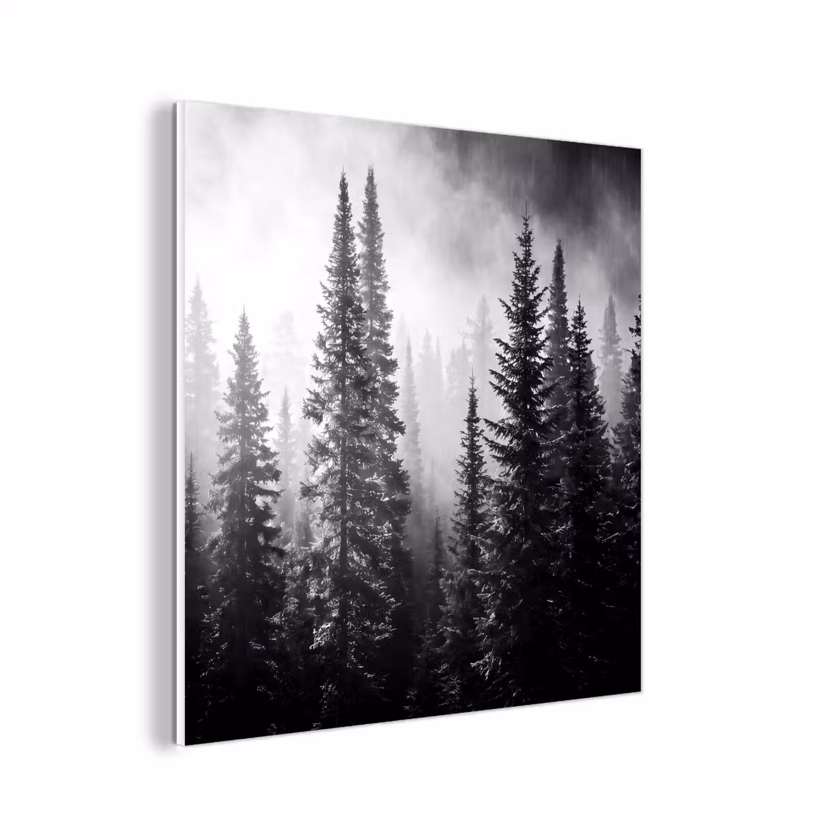 Forex - Bos - Mist - Winter - Monochroom - Natuur — 1
