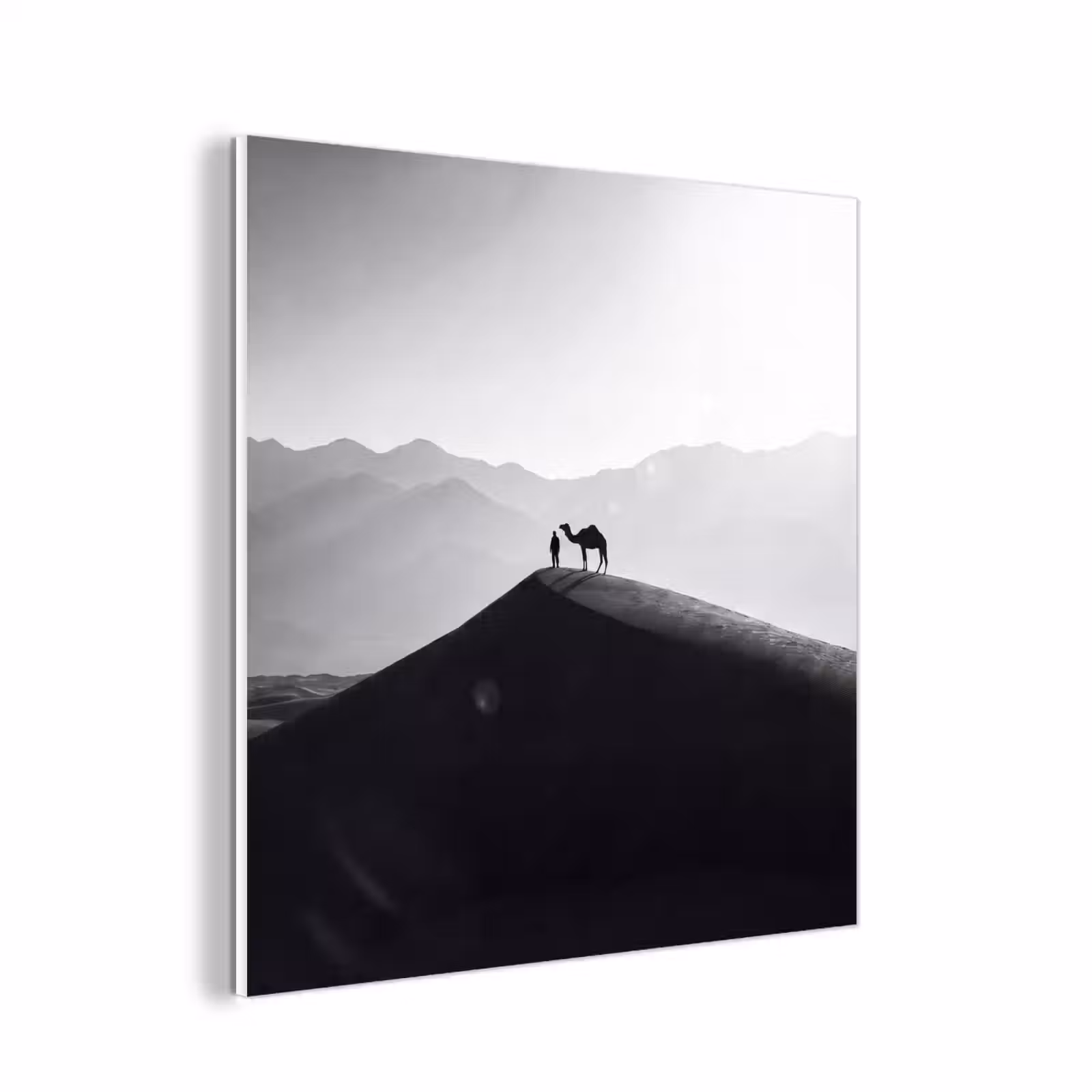 Forex - Mens - Kameel - Zandduin - Natuur - Monochroom — 1