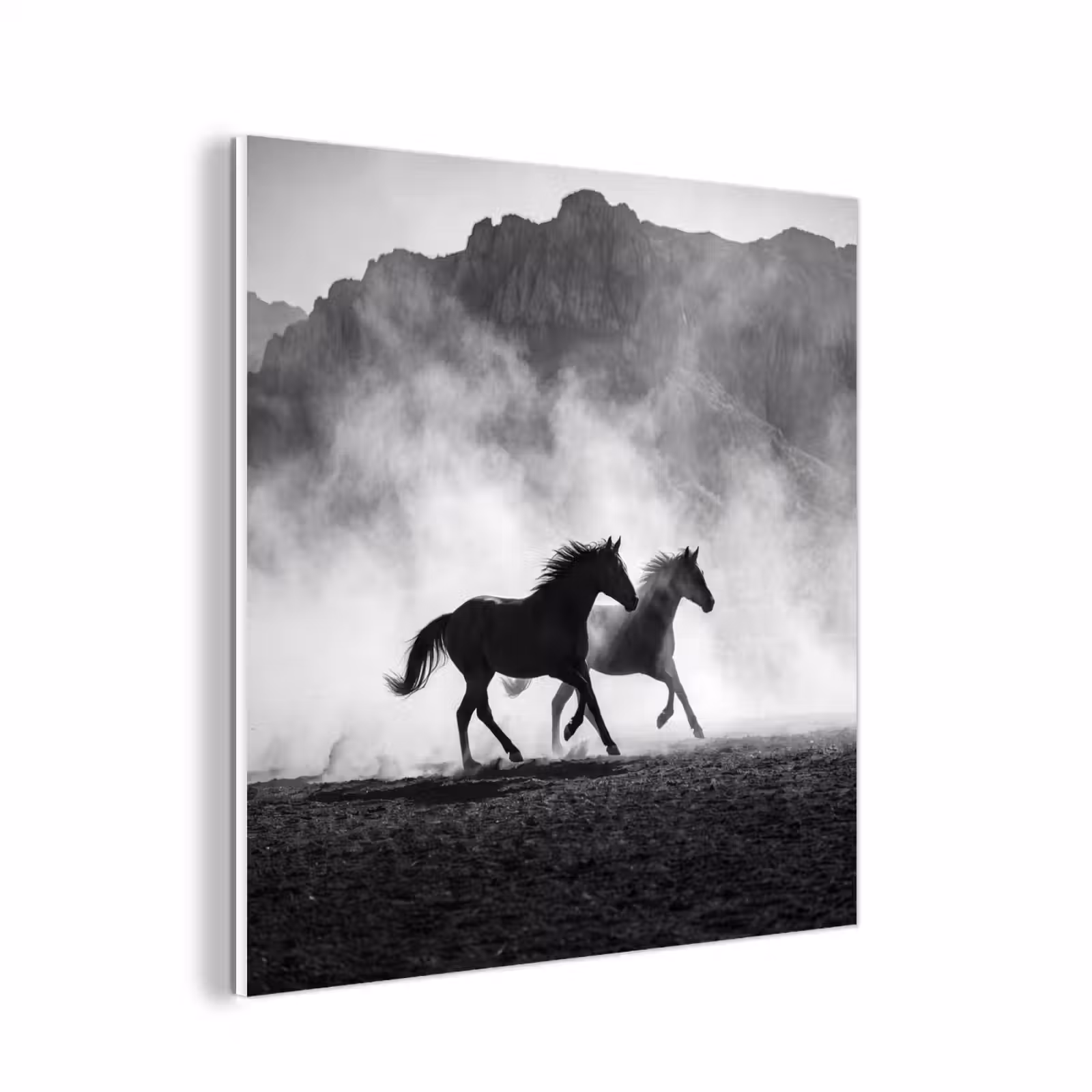 Forex - Paard - Ren - Stof - Zwart-wit - Dieren — 1