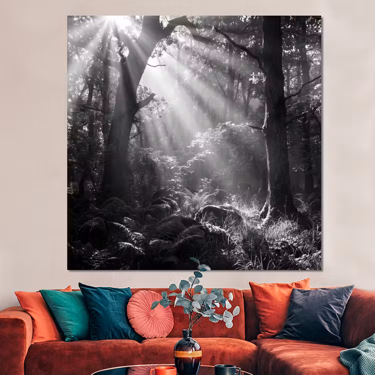 Forex - Bos - Lichtstralen - Natuur - Zwart-wit — 3