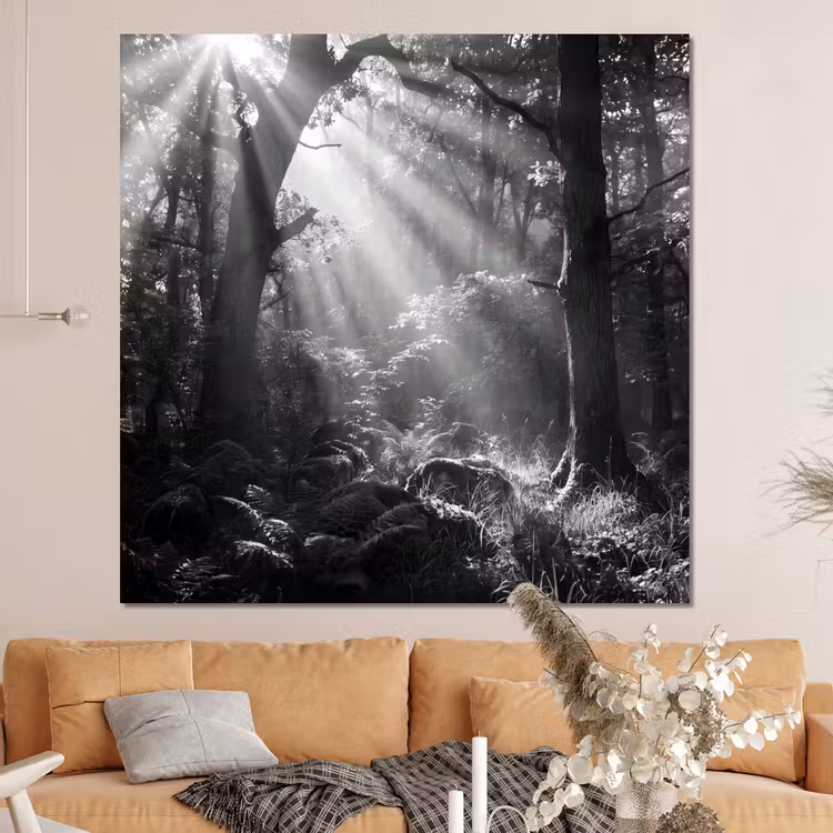 Forex - Bos - Lichtstralen - Natuur - Zwart-wit — 4