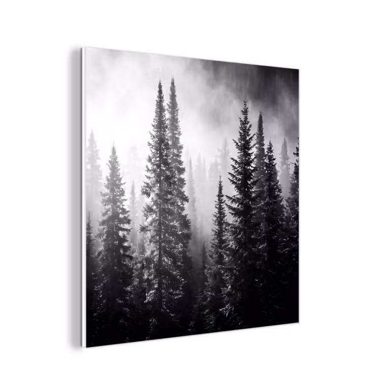 Forex - Bos - Mist - Winter - Monochroom - Natuur — 1