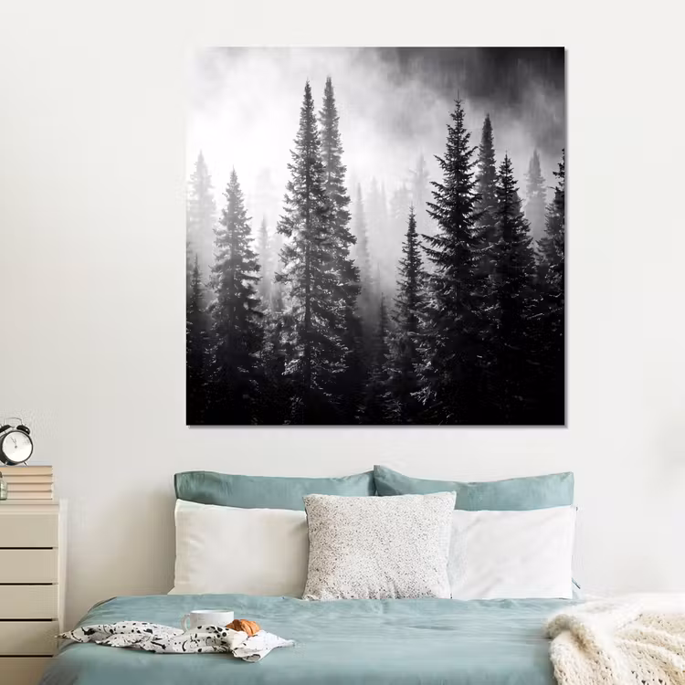 Forex - Bos - Mist - Winter - Monochroom - Natuur — 2