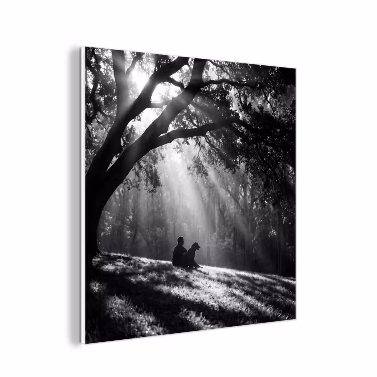 Forex - Mens - Hond - Natuur - Zwart-wit - Silhouet — 1