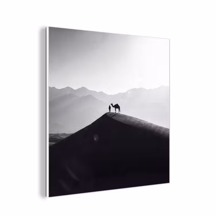 Forex - Mens - Kameel - Zandduin - Natuur - Monochroom — 1
