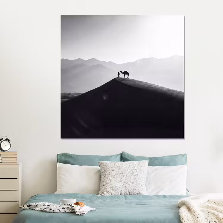 Forex - Mens - Kameel - Zandduin - Natuur - Monochroom — 2