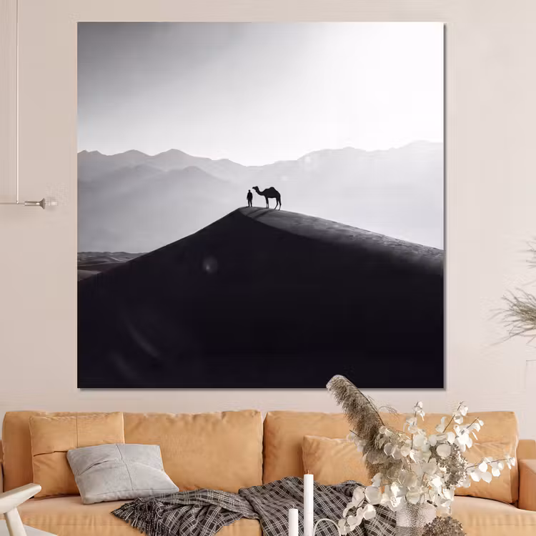 Forex - Mens - Kameel - Zandduin - Natuur - Monochroom — 4