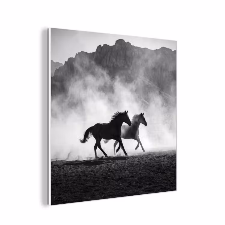 Forex - Paard - Ren - Stof - Zwart-wit - Dieren — 1