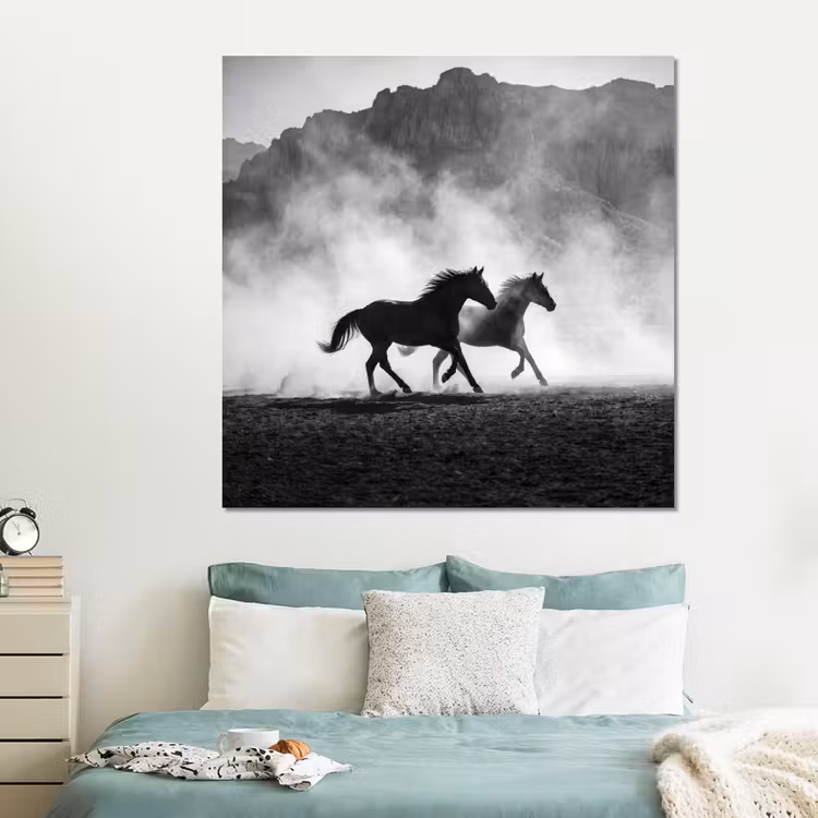 Forex - Paard - Ren - Stof - Zwart-wit - Dieren — 2