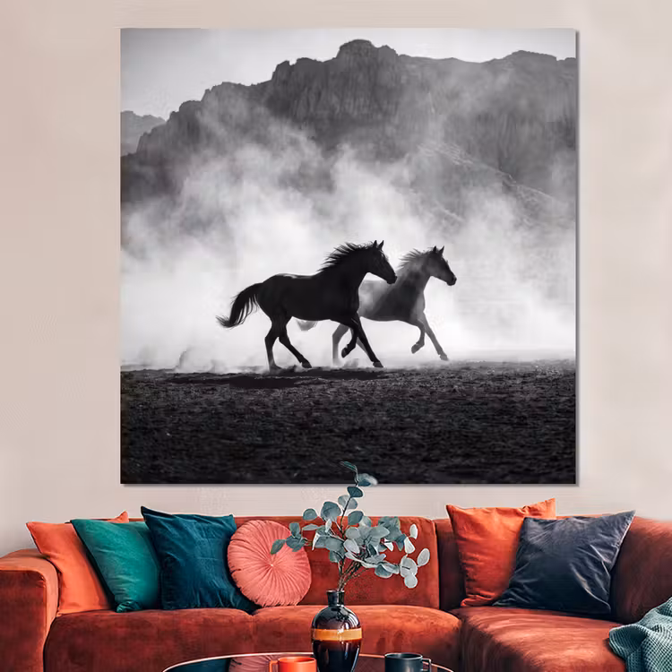 Forex - Paard - Ren - Stof - Zwart-wit - Dieren — 3