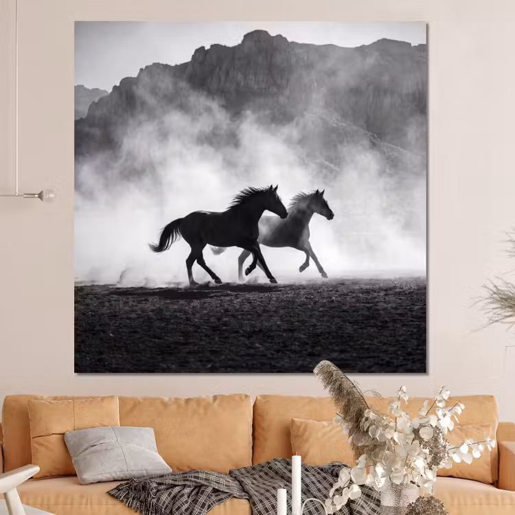 Forex - Paard - Ren - Stof - Zwart-wit - Dieren — 4