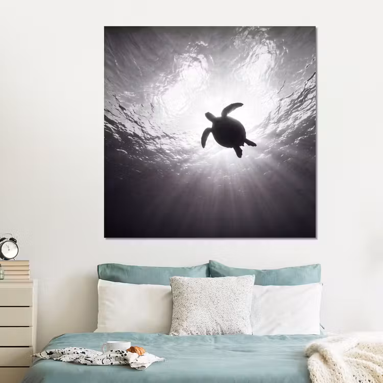 Forex - Schildpad - Onderwater - Lichtstralen - Oceaan - Zwart-wit — 2