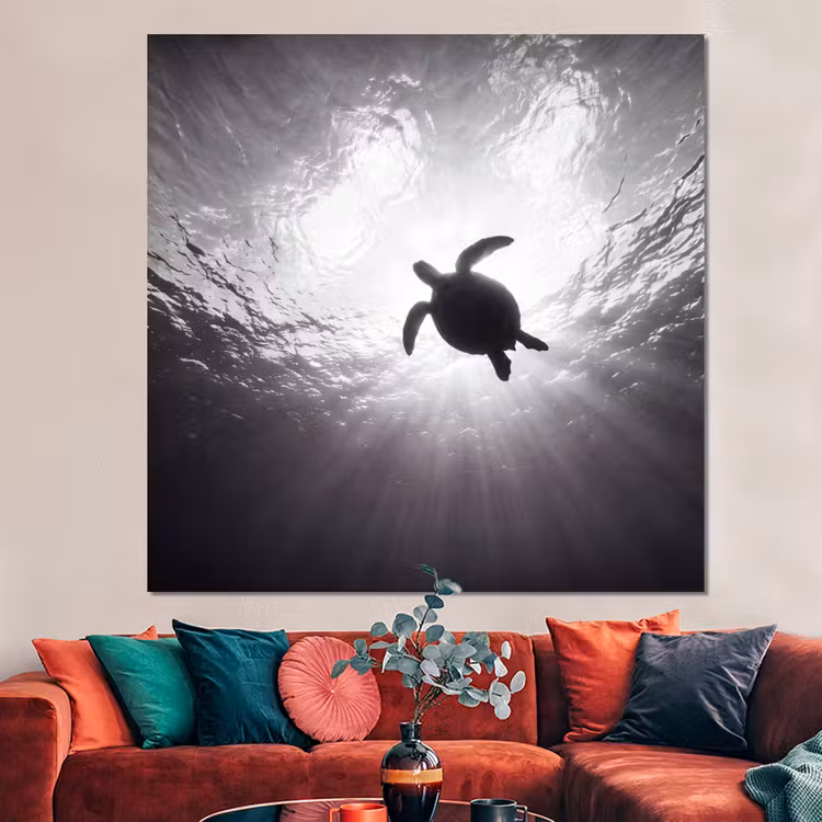 Forex - Schildpad - Onderwater - Lichtstralen - Oceaan - Zwart-wit — 3