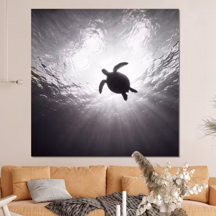 Forex - Schildpad - Onderwater - Lichtstralen - Oceaan - Zwart-wit — 4