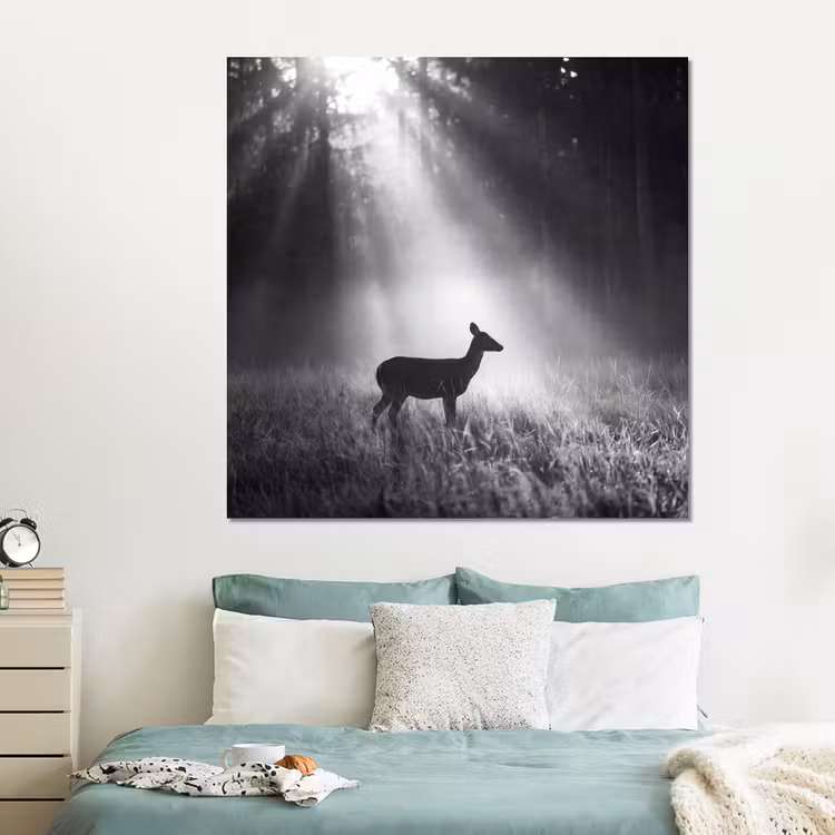 Forex - Hert - Bos - Zonnestralen - Zwart-wit - Natuur — 2