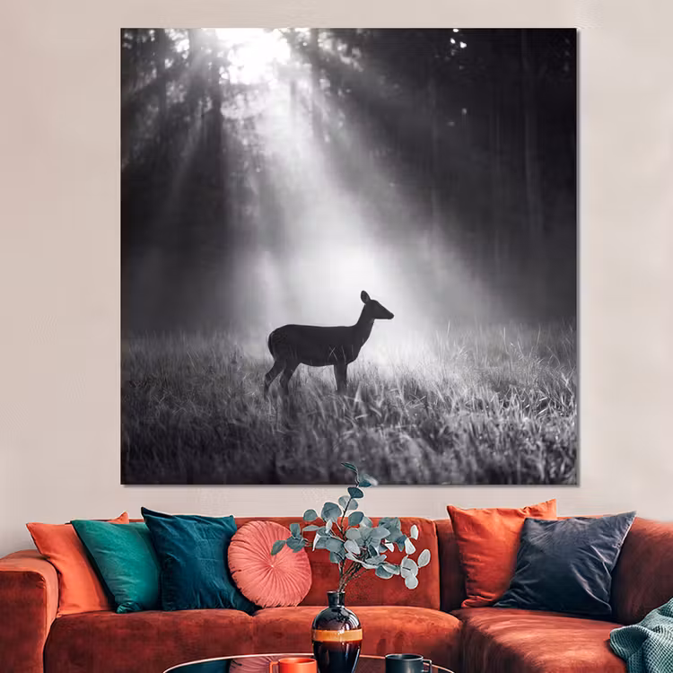 Forex - Hert - Bos - Zonnestralen - Zwart-wit - Natuur — 3